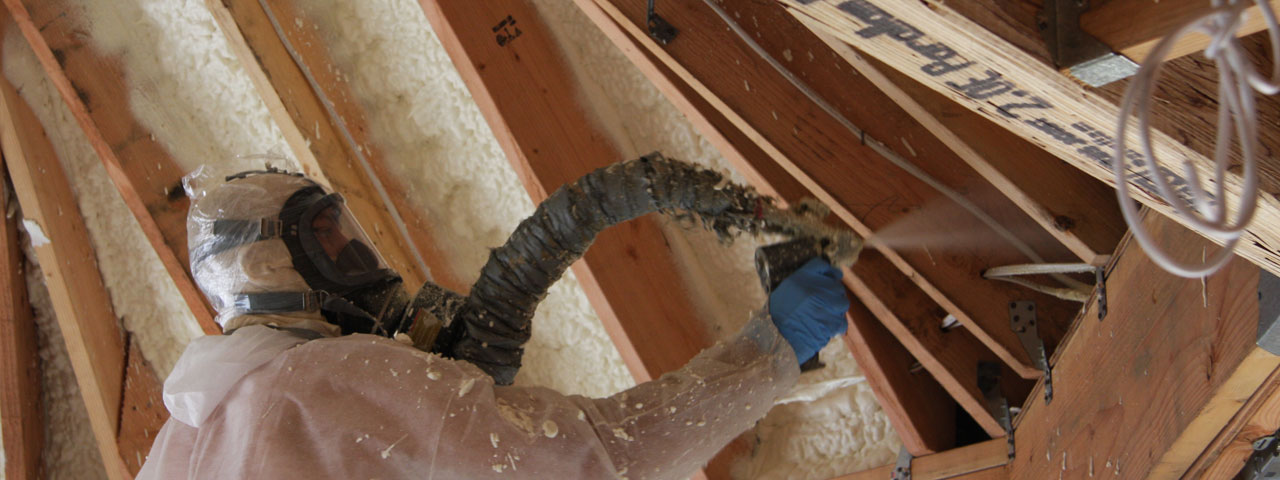 Willamette Valley Oregon Attic Insulation Spray Foam